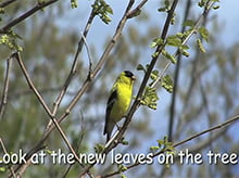 Page 187 – Seasons Video